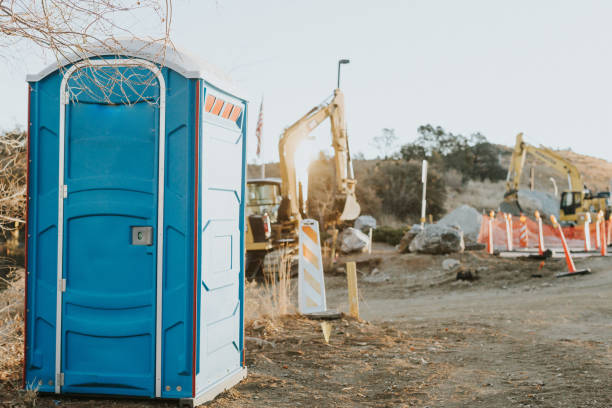 Best Portable Toilet Rental for Emergency Services  in Dolan Springs, AZ